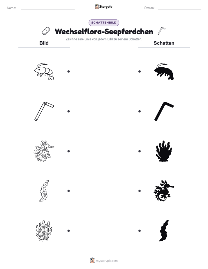 Schattenmatch