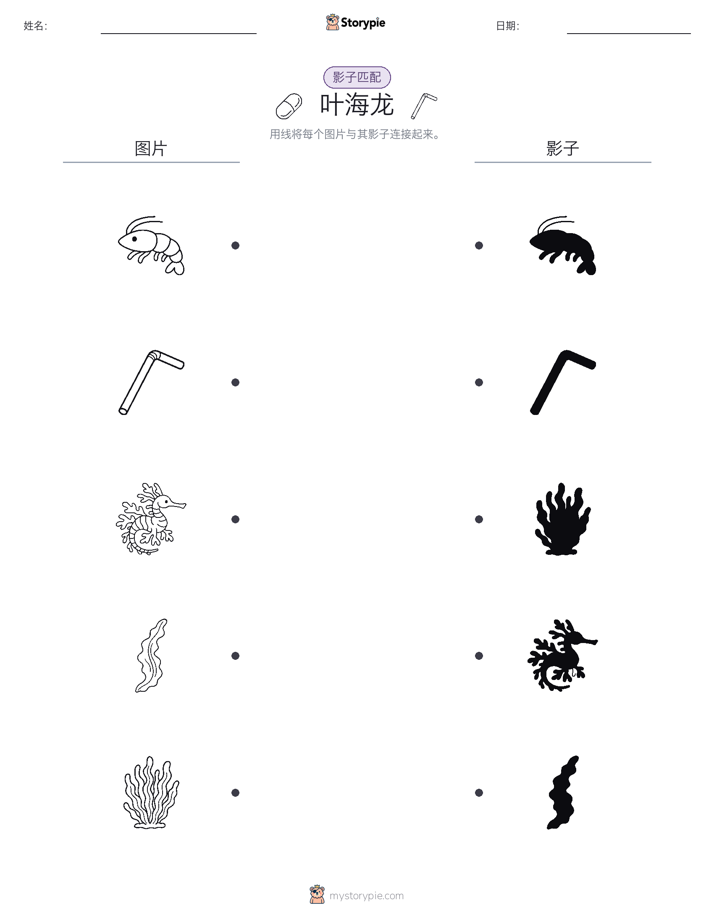 影子匹配