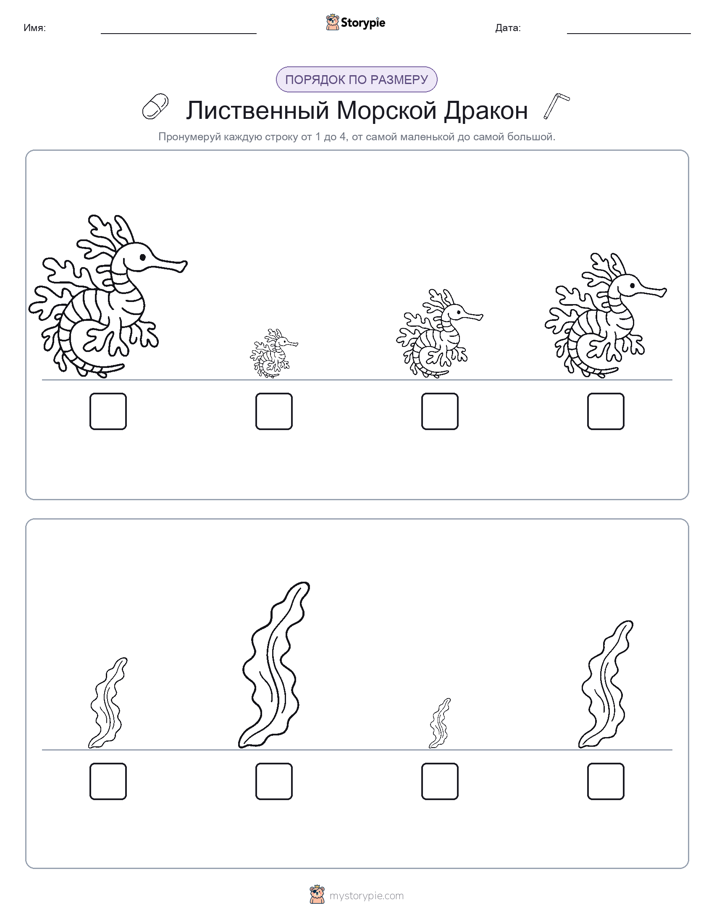 Размеры в порядке