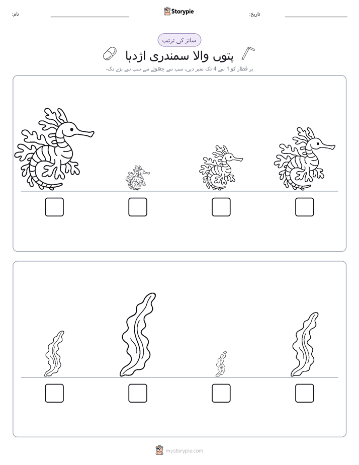 سائز کی ترتیب