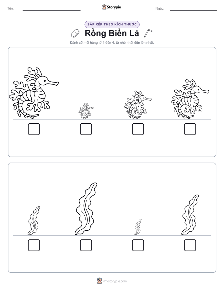Thứ Tự Kích Thước