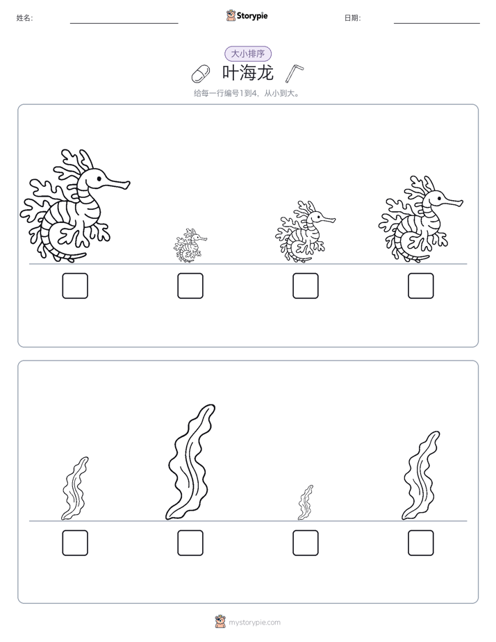 大小排序
