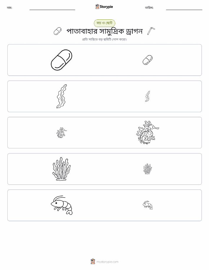 সাজানো