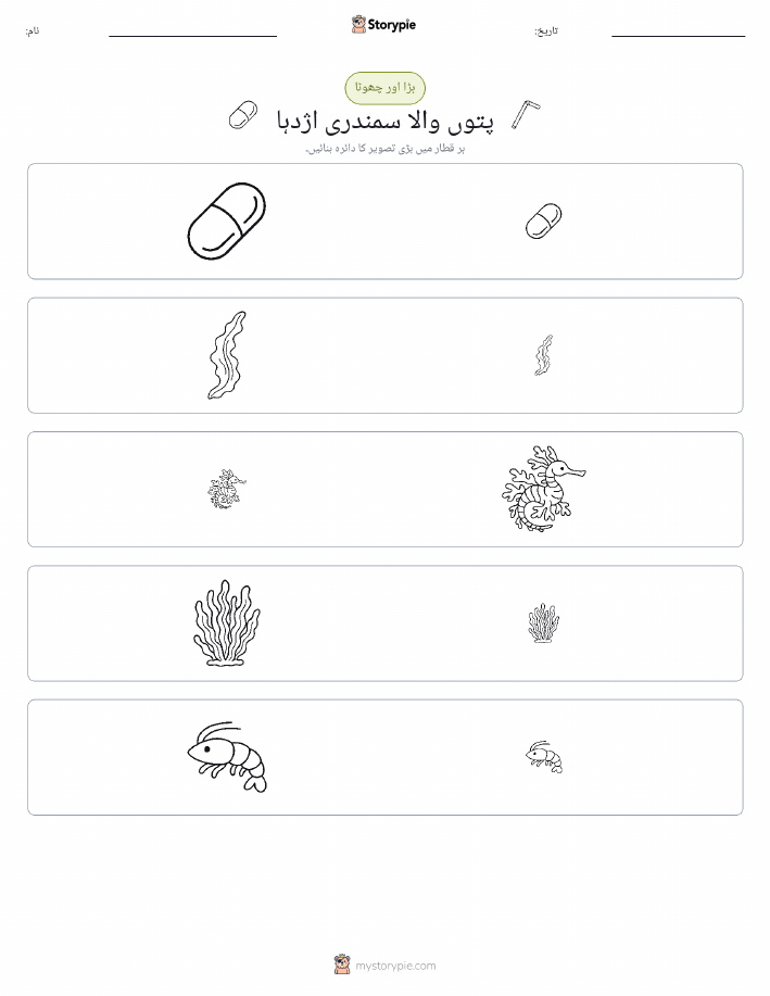 ترتیب دینا