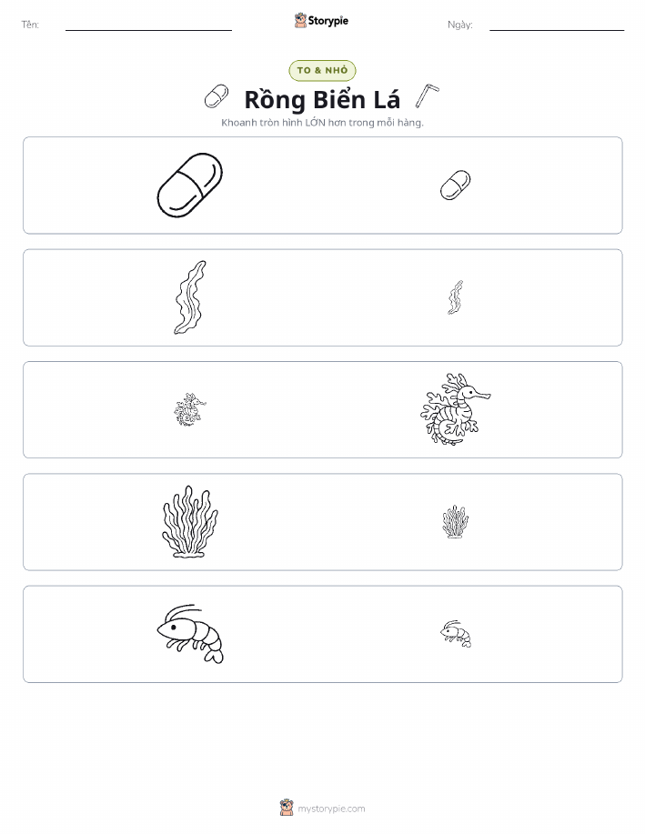 Phân Loại