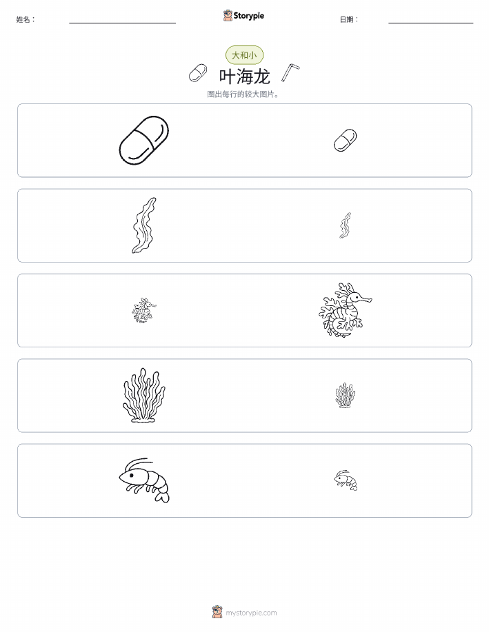 分类