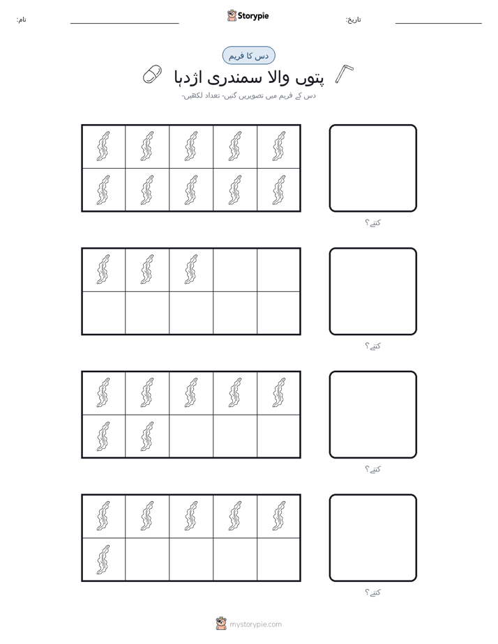 دس کا فریم