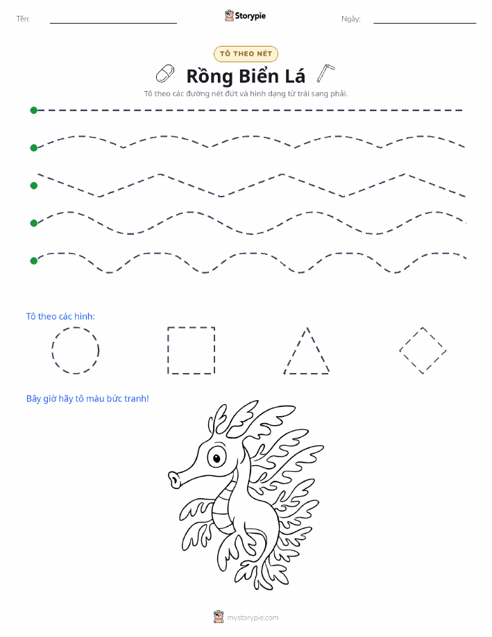 Vẽ Theo Đường