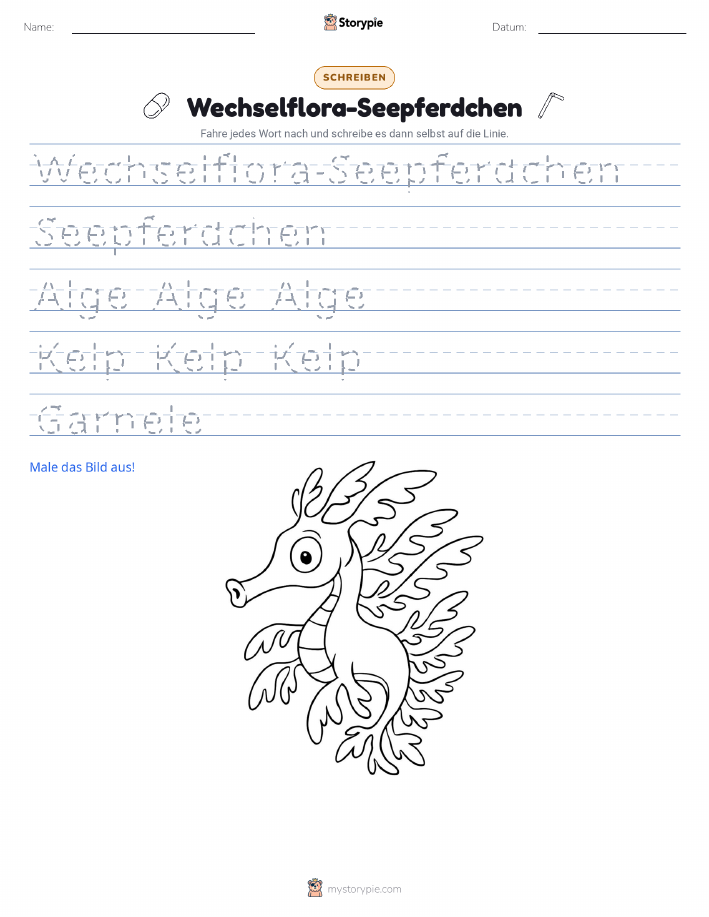 Schreibübung