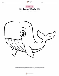 Sperm Whale coloring page for kids