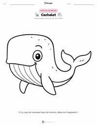 Page de coloriage Cachalot pour les enfants