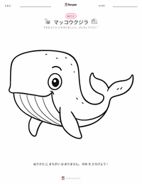 マッコウクジラ の子供向け塗り絵ページ