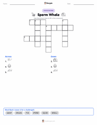 Sperm Whale printable worksheet preview
