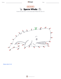 Sperm Whale printable worksheet preview