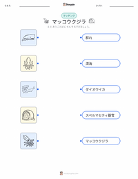 マッコウクジラ の子供向け印刷可能ワークシート