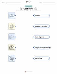 Folha de atividades imprimível Cachalote para crianças