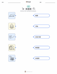 抹香鲸 可打印工作表，适合儿童