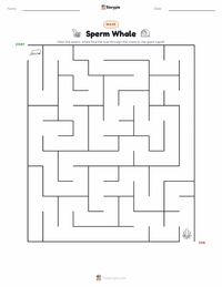 Sperm Whale printable worksheet preview