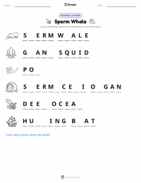 Sperm Whale printable worksheet preview
