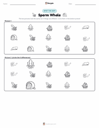 Sperm Whale printable worksheet preview