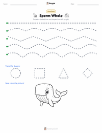 Sperm Whale printable worksheet preview