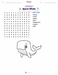 Sperm Whale printable worksheet preview