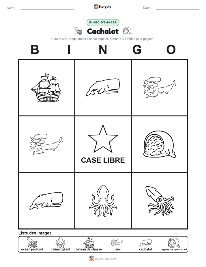 Bingo d'Images