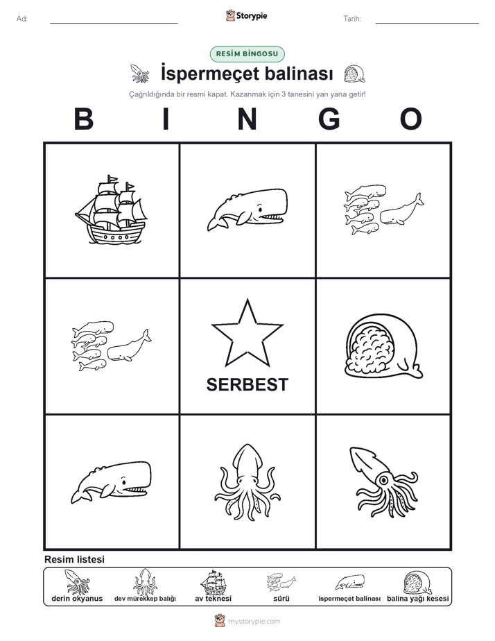 Resim Bingo