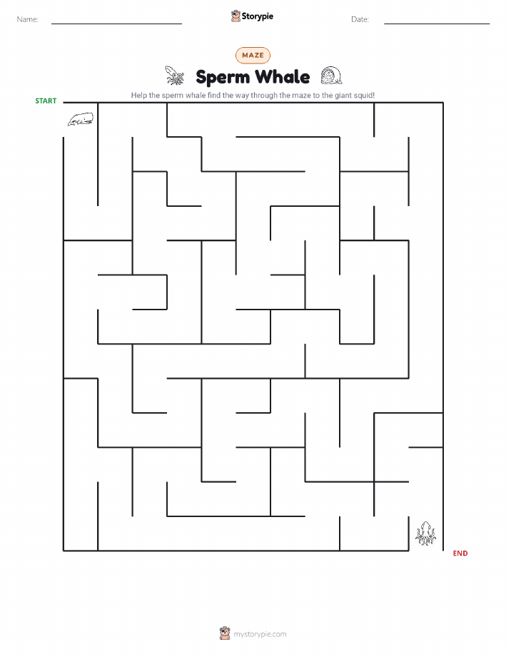 Maze