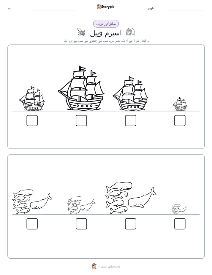 سائز کی ترتیب