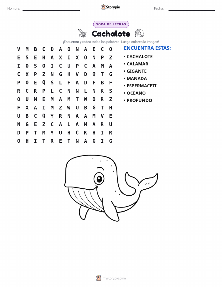Sopa de Letras