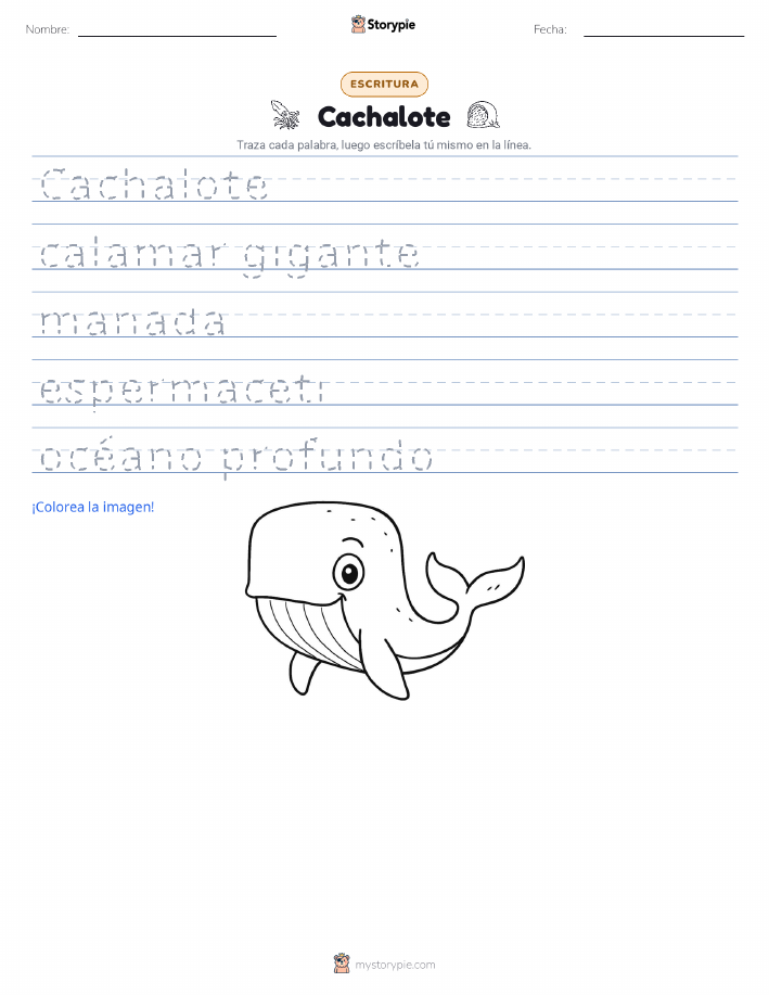 Práctica de Escritura