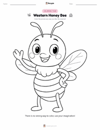 Western Honey Bee coloring page for kids