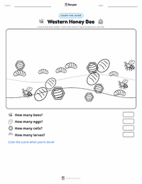 Western Honey Bee printable worksheet preview