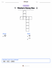 Western Honey Bee printable worksheet preview