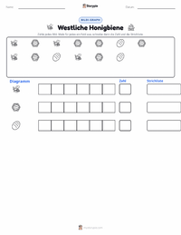 Westliche Honigbiene druckbare Arbeitsblatt Vorschau