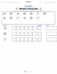 Western Honey Bee printable worksheet preview