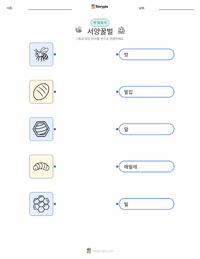 서양꿀벌 어린이용 인쇄 가능한 워크시트