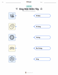 Tài liệu in sẵn Ong Mật Phương Tây cho trẻ em