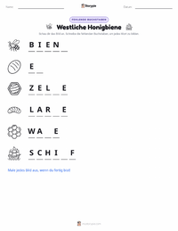 Westliche Honigbiene druckbare Arbeitsblatt Vorschau