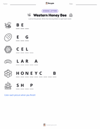 Western Honey Bee printable worksheet preview