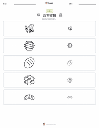 西方蜜蜂 可打印工作表预览