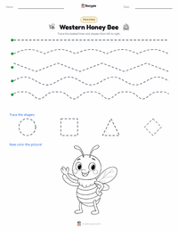 Western Honey Bee printable worksheet preview