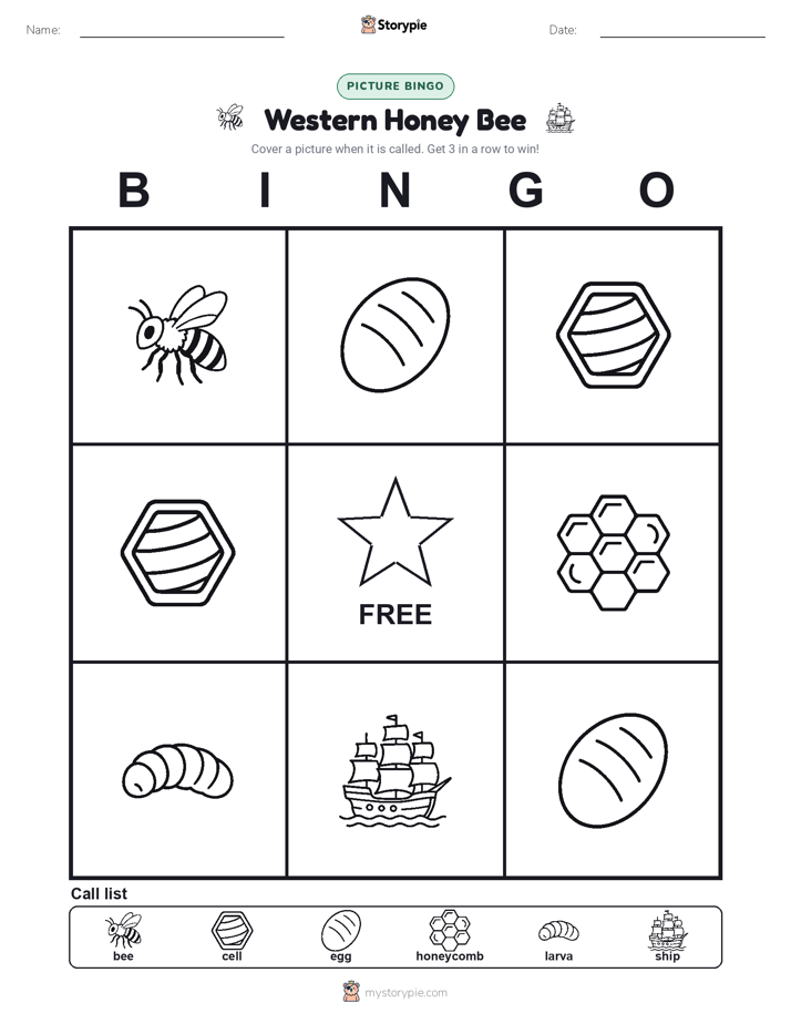 Picture Bingo