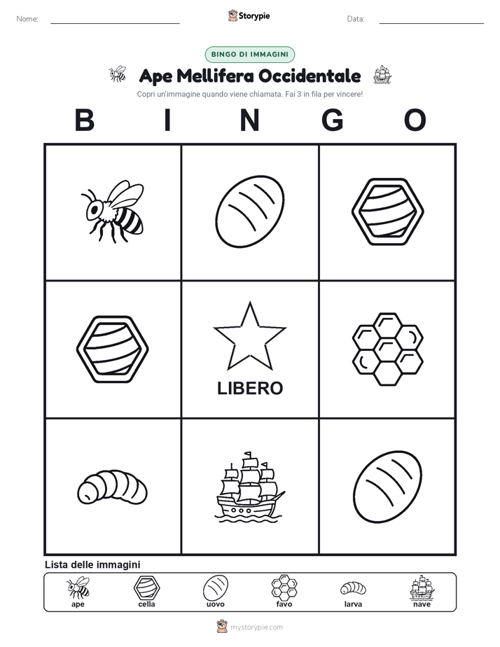 Bingo delle Immagini