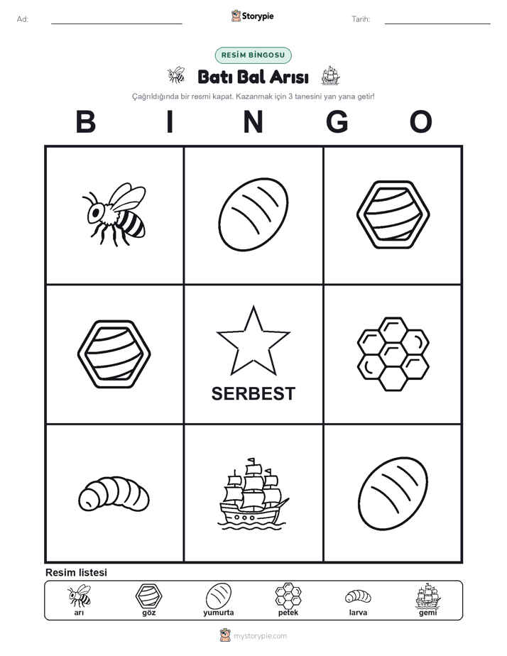 Resim Bingo
