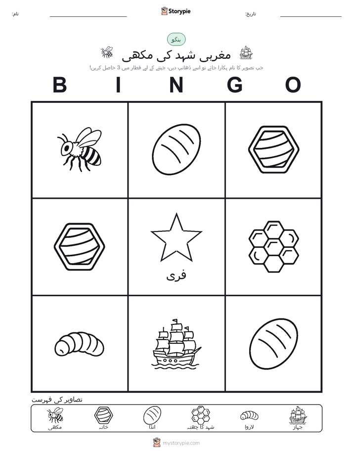 تصویری بنگو