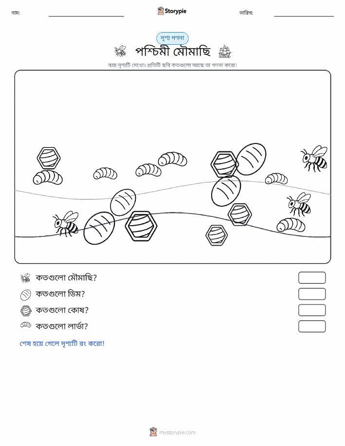 গণনা দৃশ্য