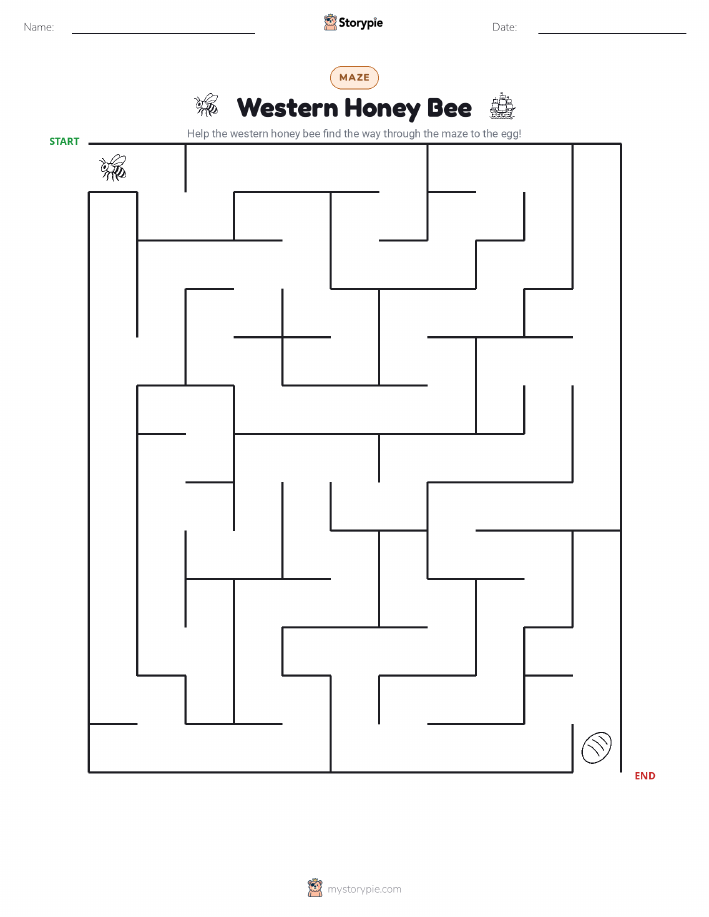 Maze