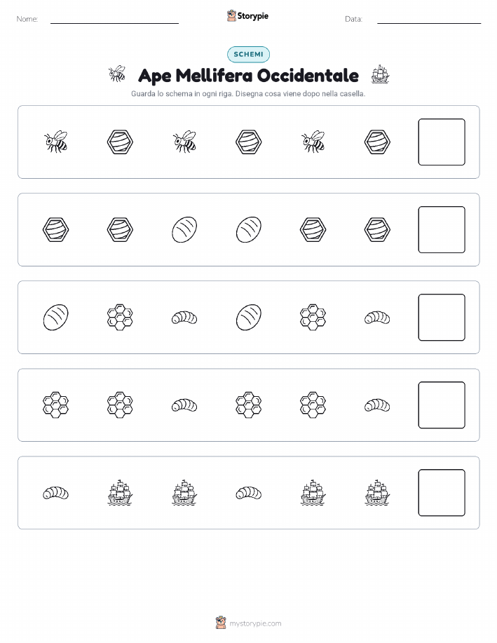 Pattern